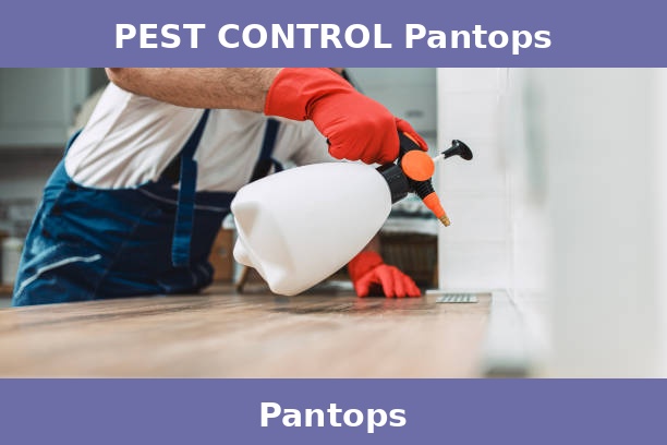 PEST CONTROL Pantops